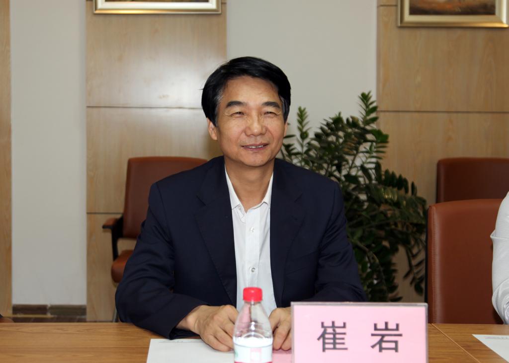 党委书记崔岩致辞